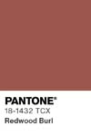 16558 pantone color chip 18 1432 tcx