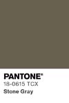 16559 pantone color chip 18 0615 tcx