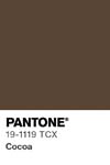 16560 pantone color chip 19 1119 tcx