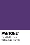 16564 pantone color chip 19 3638 tcx