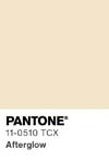 2409 pantone color chip 11 0510 tcx