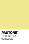 2417 pantone color chip 11 0622 tcx
