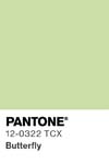 2421 pantone color chip 12 0322 tcx