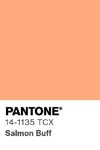 7007 pantone color chip 14 1135 tcx