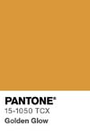 7010 pantone color chip 15 1050 tcx