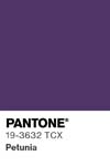 7017 pantone color chip 19 3632 tcx