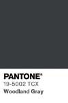 7033 pantone color chip 19 5002 tcx
