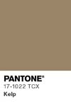 7045 pantone color chip 17 1022 tcx