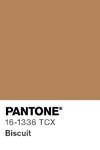 7046 pantone color chip 16 1336 tcx