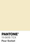 7048 pantone color chip 11 0615 tcx