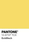 7049 pantone color chip 12 0737 tcx