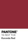 7058 pantone color chip 19 1657 tcx