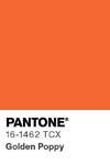 7063 pantone color chip 16 1462 tcx