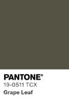 7072 pantone color chip 19 0511 tcx
