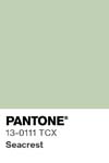7077 pantone color chip 13 0111 tcx