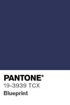 7085 pantone color chip 19 3939 tcx
