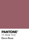 7092 pantone color chip 17 1614 tcx