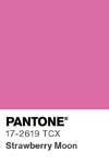 7096 pantone color chip 17 2619 tcx