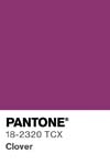 7097 pantone color chip 18 2320 tcx