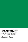 317 pantone color chip 17 6154 tcx