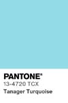 346 pantone color chip 13 4720 tcx