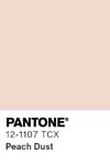 349 pantone color chip 12 1107 tcx