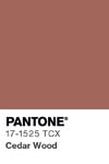 359 pantone color chip 17 1525 tcx