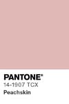 366 pantone color chip 14 1907 tcx