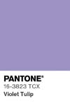 369 pantone color chip 16 3823 tcx
