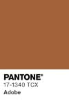 370 pantone color chip 17 1340 tcx