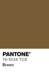 374 pantone color chip 19 1034 tcx