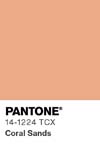378 pantone color chip 14 1224 tcx