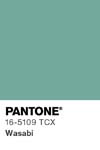 381 pantone color chip 16 5109 tcx