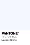 437 pantone color chip 11 0700 tcx